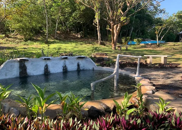 Hotel Colinas Del Miravalles & Hot Springs