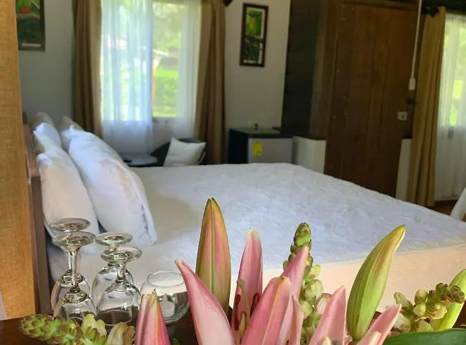 Hotel Colinas Del Miravalles & Hot Springs 3*