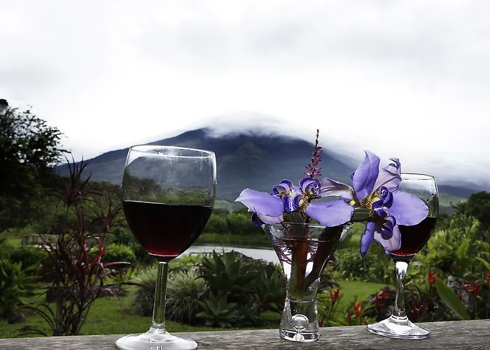 Hotel Colinas Del Miravalles & Hot Springs 3*